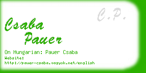 csaba pauer business card